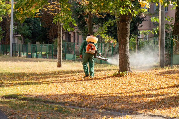 Insect Control in North Middletown, NJ