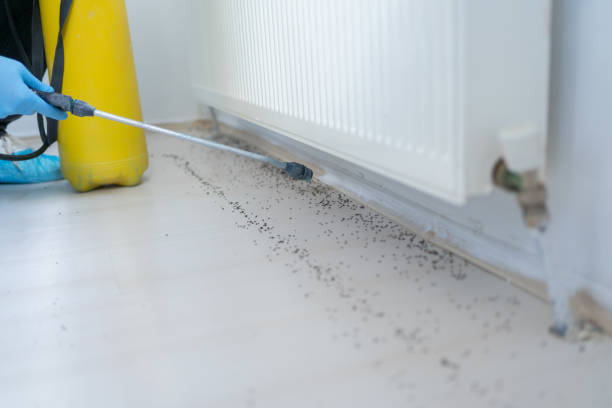 Best Mosquito Control Services  in North Middletown, NJ